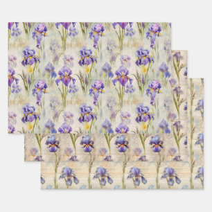 Iris wrapping paper