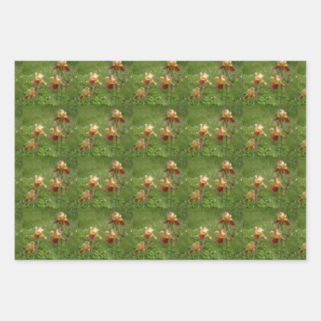 Iris Wrapping Paper (Front)