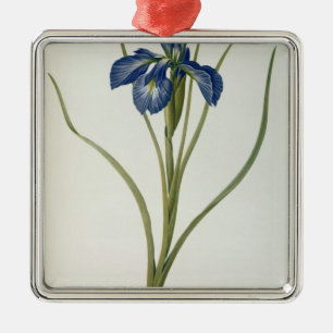 Iris Xyphioides, from `Les Liliacees', 1808 Metal Tree Decoration