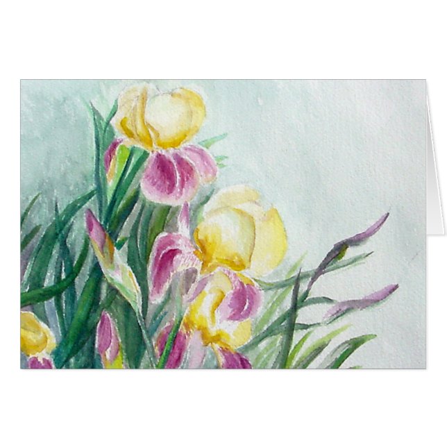 IRISES (Front Horizontal)