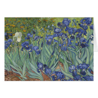 Irises