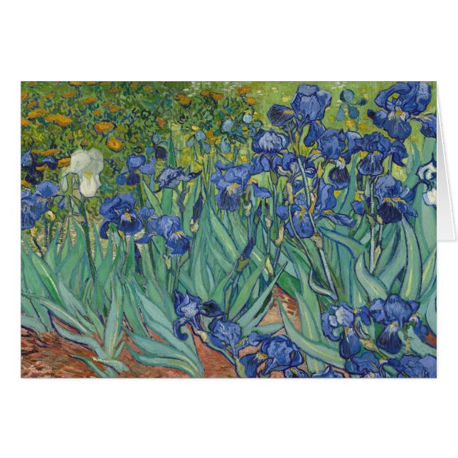 Irises (Front Horizontal)