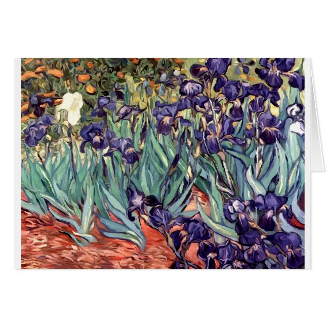Irises (Front Horizontal)