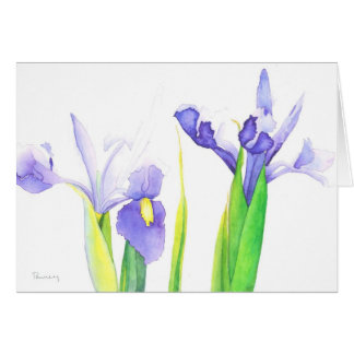Irises