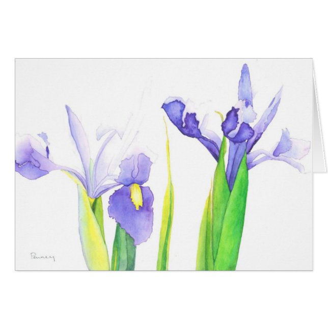Irises (Front Horizontal)