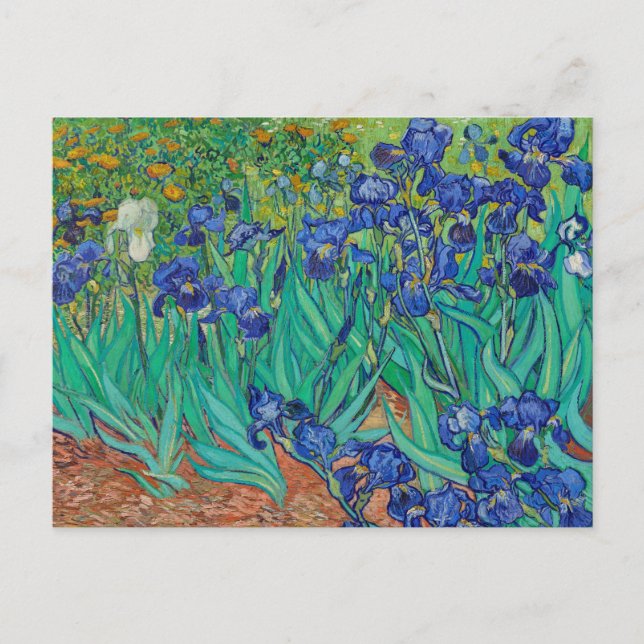 Irises 1889 by Vincent Van Gogh Fine Art Flowers Postcard (Front)