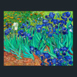 Irises (1889) Vincent Van Gogh blue floral garden  Poster<br><div class="desc">The beautiful Van Gogh Irises (1889) fine art print poster showcases the maestro of Post-Impressionism Van Gogh's well-known rendering of the breathtaking blue iris flower garden. While receiving treatment at the Saint Paul-de-Mausole institution in Saint-Rémy-de-Provence, France, in the year before his death in 1890, Vincent van Gogh created several works...</div>