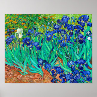 Irises (1889) Vincent Van Gogh blue floral garden  Poster