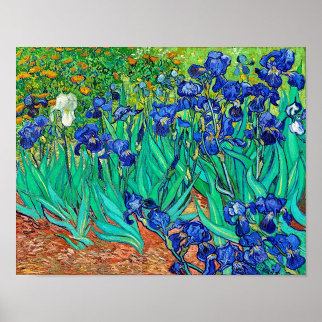 Irises (1889) Vincent Van Gogh blue floral garden  Poster (Front)