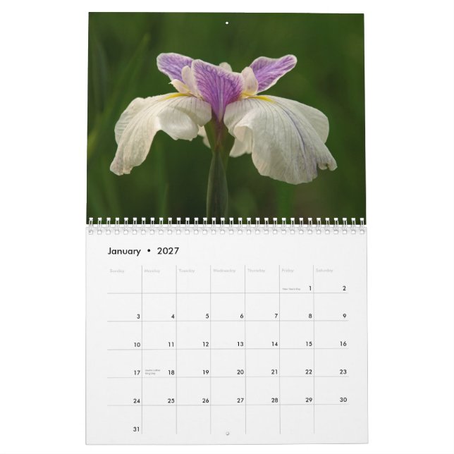 Irises 2009 calendar (Jan 2027)