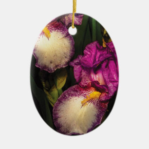 Irises - A couple of Irises Ceramic Tree Decoration