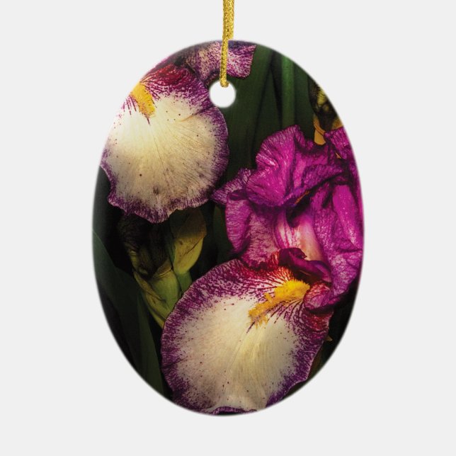 Irises - A couple of Irises Ceramic Tree Decoration (Front)