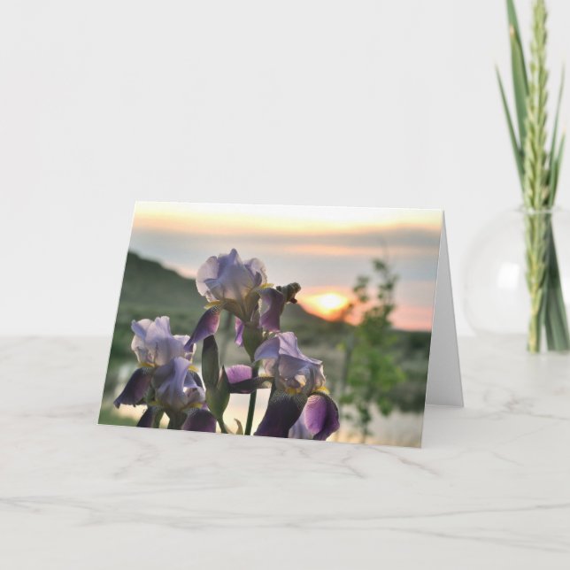 Irises and sunset blank greeting card (Front)