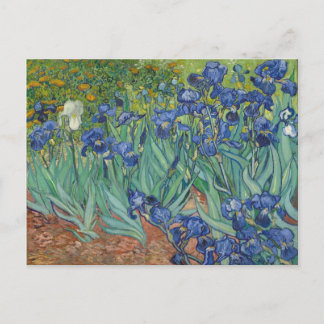 Irises Blue Green Yellow Van Gogh Postcard