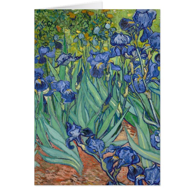 Irises by Van Gogh (Front)