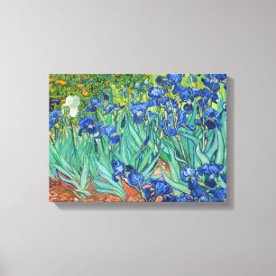 Irises by Van Gogh Canvas Print