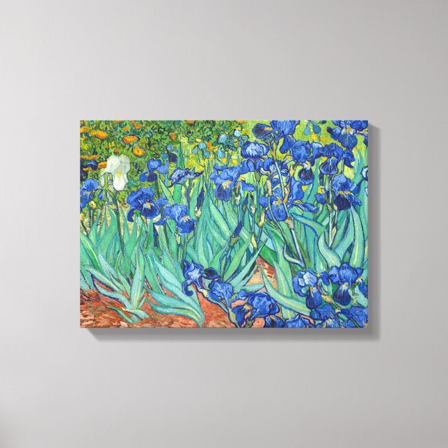 Irises by Van Gogh Canvas Print (Front)