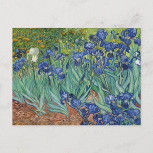 Irises by Van Gogh Postcards