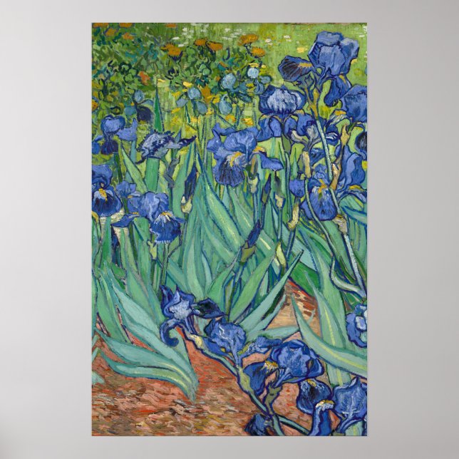 Irises by Van Gogh Poster (Front)