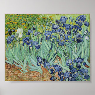 Irises by Van Gogh Poster