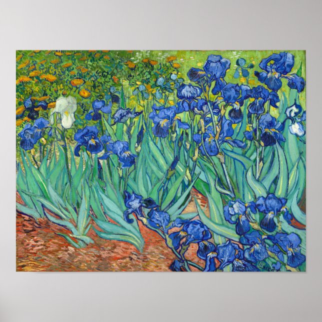 Irises by Van Gogh Poster (Front)