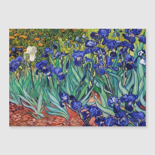 Irises by Vincent van Gogh (Front)