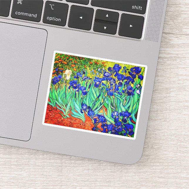 Irises by Vincent Van Gogh (Detail)