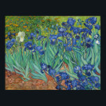Irises by Vincent Van Gogh 1889 Poster<br><div class="desc">Irises is one of many paintings and prints of irises by the Dutch artist Vincent van Gogh. Irises was painted while Vincent van Gogh was living at the asylum at Saint Paul-de-Mausole in Saint-Rémy-de-Provence,  France,  in the last year before his death in 1890.</div>