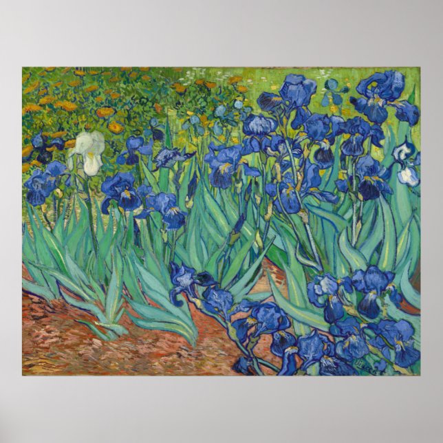 Irises by Vincent Van Gogh 1889 Poster (Front)