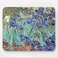 Irises by Vincent van Gogh 1898