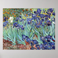 Irises by Vincent van Gogh 1898