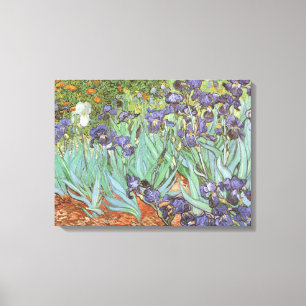 Irises by Vincent van Gogh Canvas Print