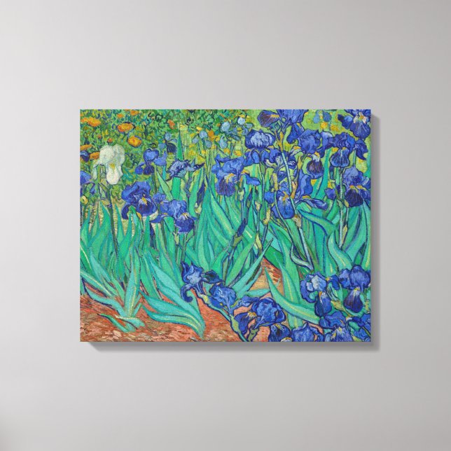 Irises by Vincent Van Gogh Canvas Print (Front)