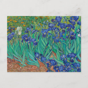 Irises by Vincent Van Gogh Holiday Postcard
