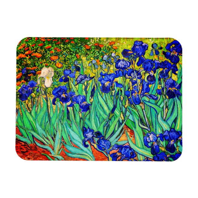 Irises by Vincent Van Gogh Magnet (Horizontal)