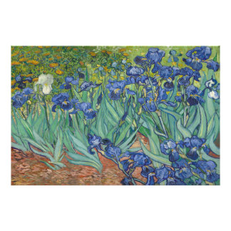 Irises by Vincent van Gogh  Photo Print