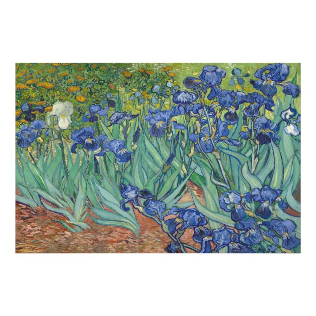 Irises by Vincent van Gogh  Photo Print (Front)