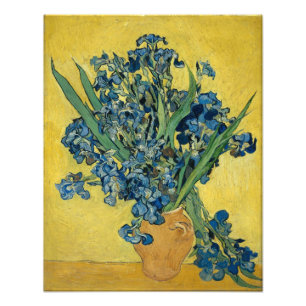 Irises by Vincent Van Gogh Photo Print
