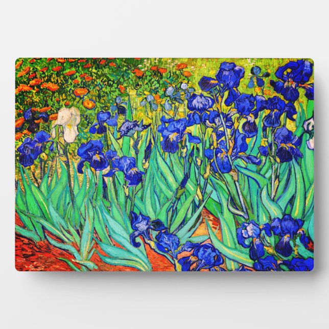Irises by Vincent Van Gogh Plaque (Front)