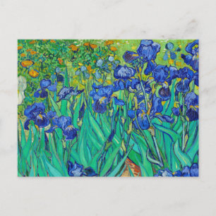 Irises by Vincent Van Gogh Postcard