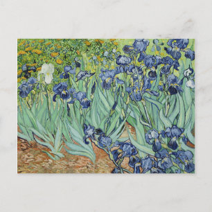 Irises by Vincent van Gogh Postcard