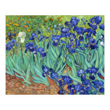 Irises by Vincent van gogh