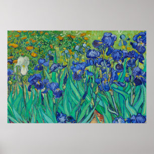 Irises by Vincent van Gogh Poster