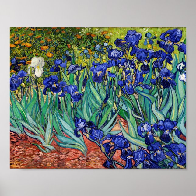 Irises by Vincent van Gogh Poster (Front)