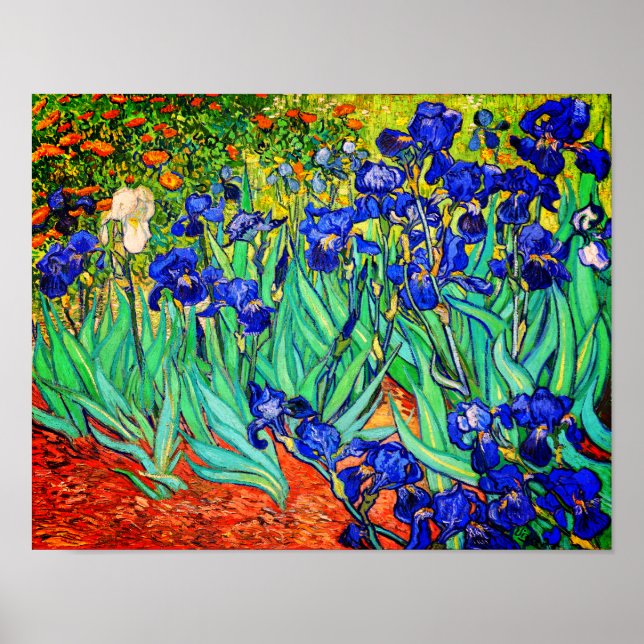 Irises by Vincent Van Gogh Poster (Front)