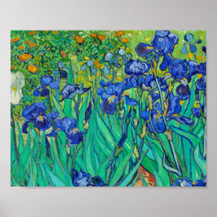 Irises by Vincent Van Gogh Poster
