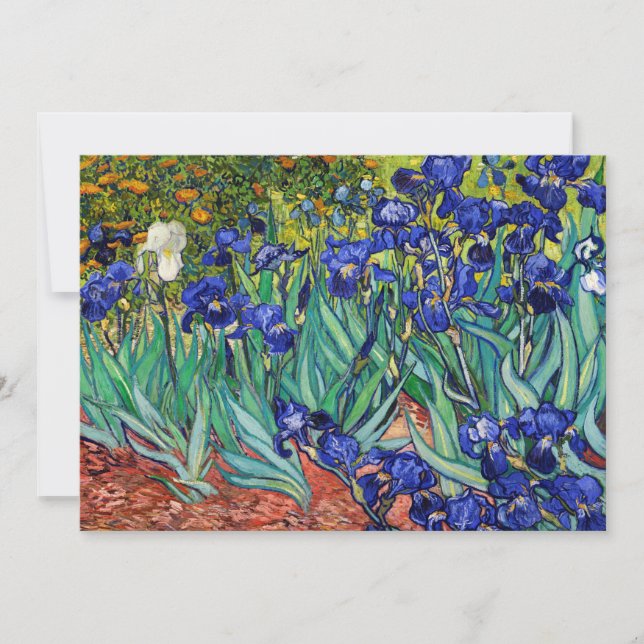 Irises by Vincent van Gogh Thank You Card (Front)