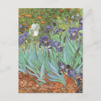 Irises by Vincent van Gogh, Vintage Flowers Art Postcard