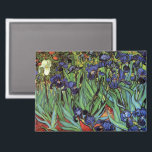Irises by Vincent van Gogh, Vintage Garden Art Magnet<br><div class="desc">Irises (1889) by Vincent van Gogh is a vintage fine art post impressionism landscape floral painting featuring a garden with purple bearded irises growing by orange poppies. A single white iris flower is blooming at the edge. About the artist: Vincent Willem van Gogh (1853 -1890) was one of the most...</div>