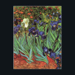 Irises by Vincent van Gogh, Vintage Garden Art Postcard<br><div class="desc">Irises (1889) by Vincent van Gogh is a vintage fine art post impressionism landscape floral painting featuring a garden with purple bearded irises growing by orange poppies. A single white iris flower is blooming at the edge. About the artist: Vincent Willem van Gogh (1853 -1890) was one of the most...</div>